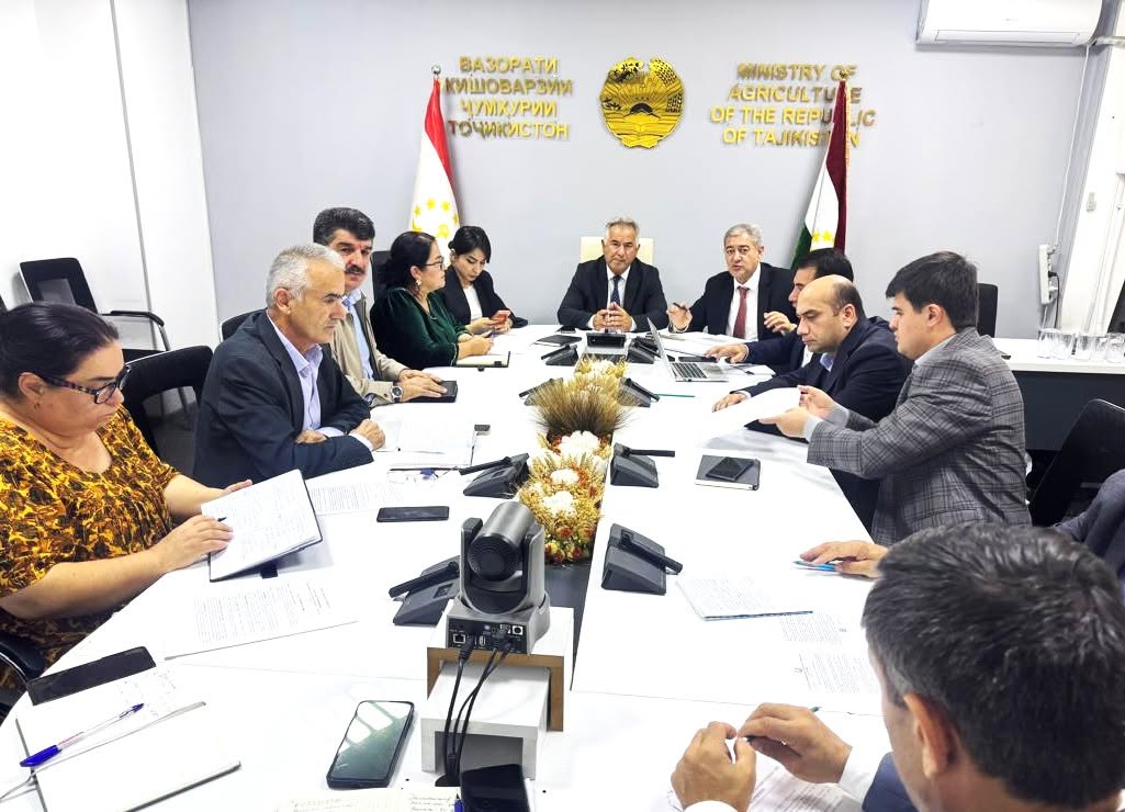 Creating a Favorable Environment for the Development of the Seed Production and Nursery Systems