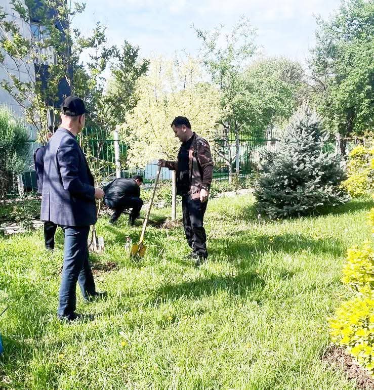 Шанбегӣ дар Агентӣ