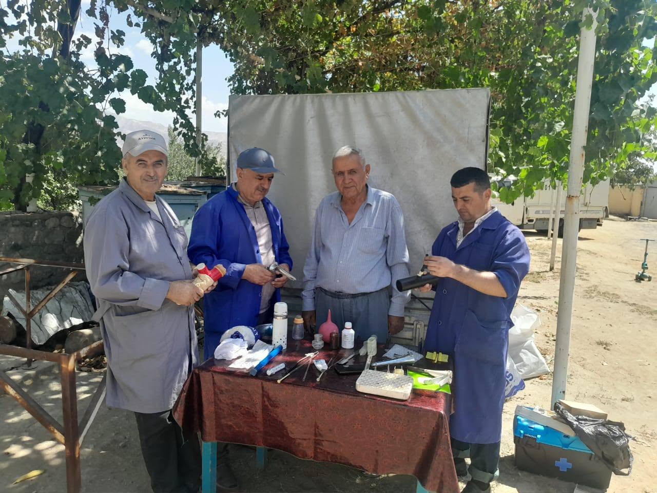Employees of the Department of Sheep Breeding Selection and Technology of the Institute of Animal Husbandry and Pastures of the Academy of Agricultural Sciences of Tajikistan (AAST) — project leader Kh. Q. Davlatov, head of the department S. K. Nabotov, and research fellows A. Sattorov and H. Abdullozoda — conducted an appraisal (aprobatсия) of breeding rams at the "Mehnat-Rokhat" farming enterprise in Vahdat city.